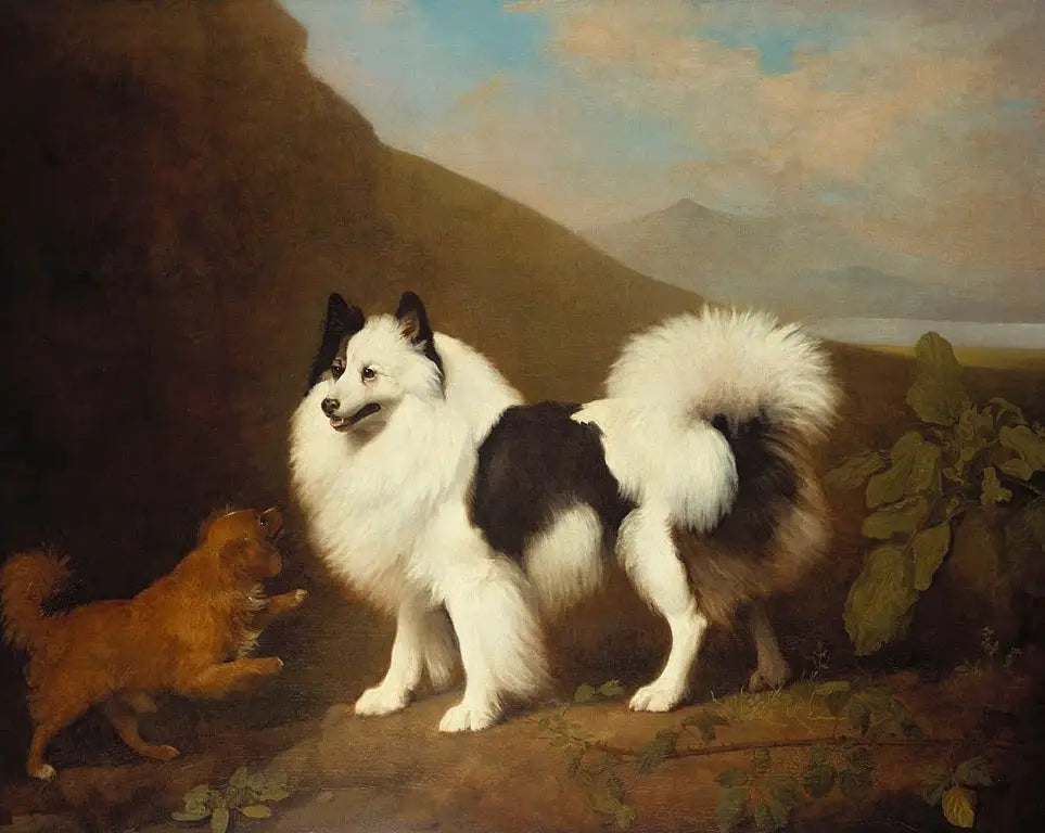 Fino et Tiny - George Stubbs image 1 reproduction de peinture à l’huile