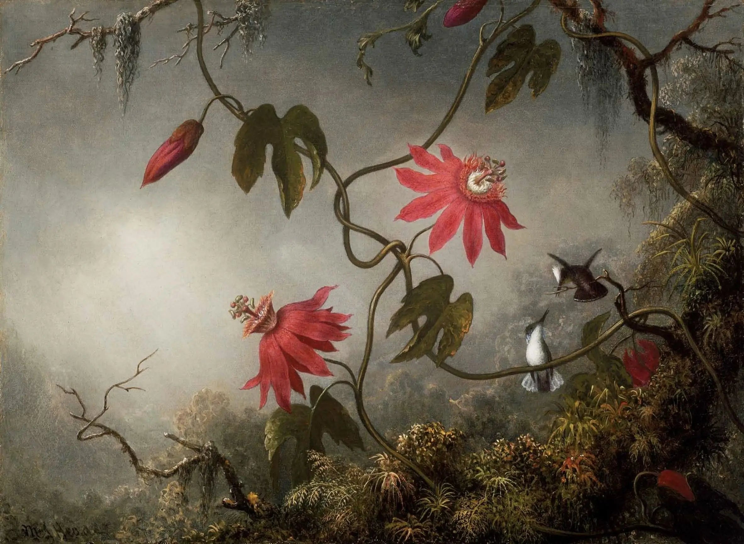 Fleurs de la passion et Colibris - Martin Johnson Heade - Alpha Reproduction