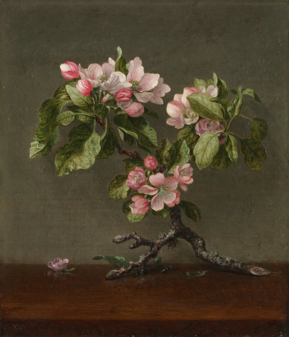 Fleurs de pommier - Martin Johnson Heade - Alpha Reproduction