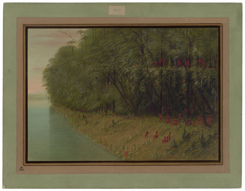 Une forêt amazonienne - Regard sur le rivage - George Catlin