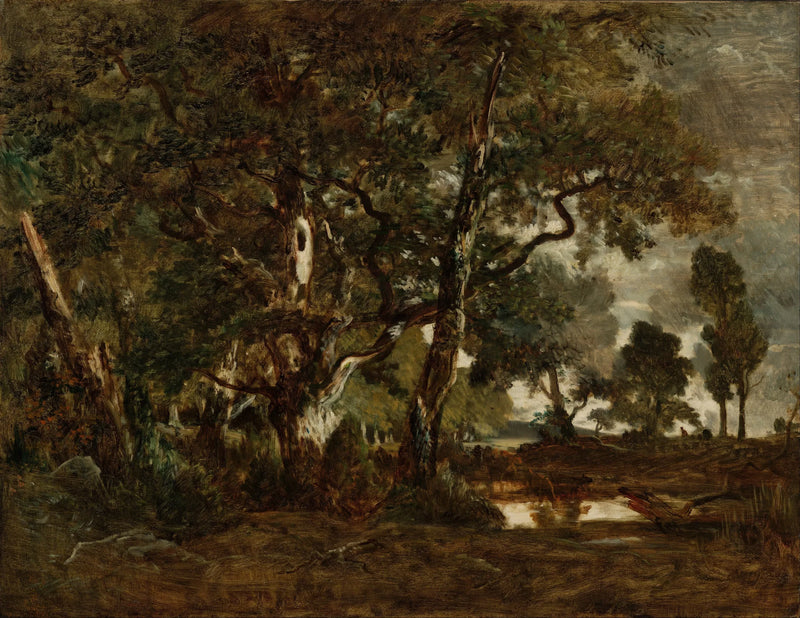 Forêt de Fontainebleau, bosquet de grands arbres dominant la plaine de Clair-Bois à la limite du Bas-Bréau - Théodore Rousseau