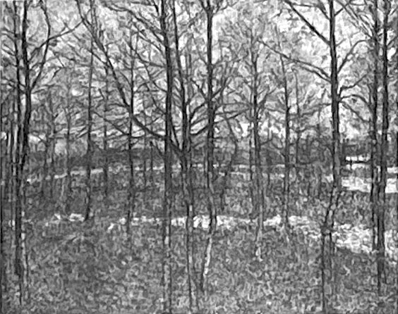 ป่า, ฤดูใบไม้ผลิ - คาซิมีร์ มาเลวิช