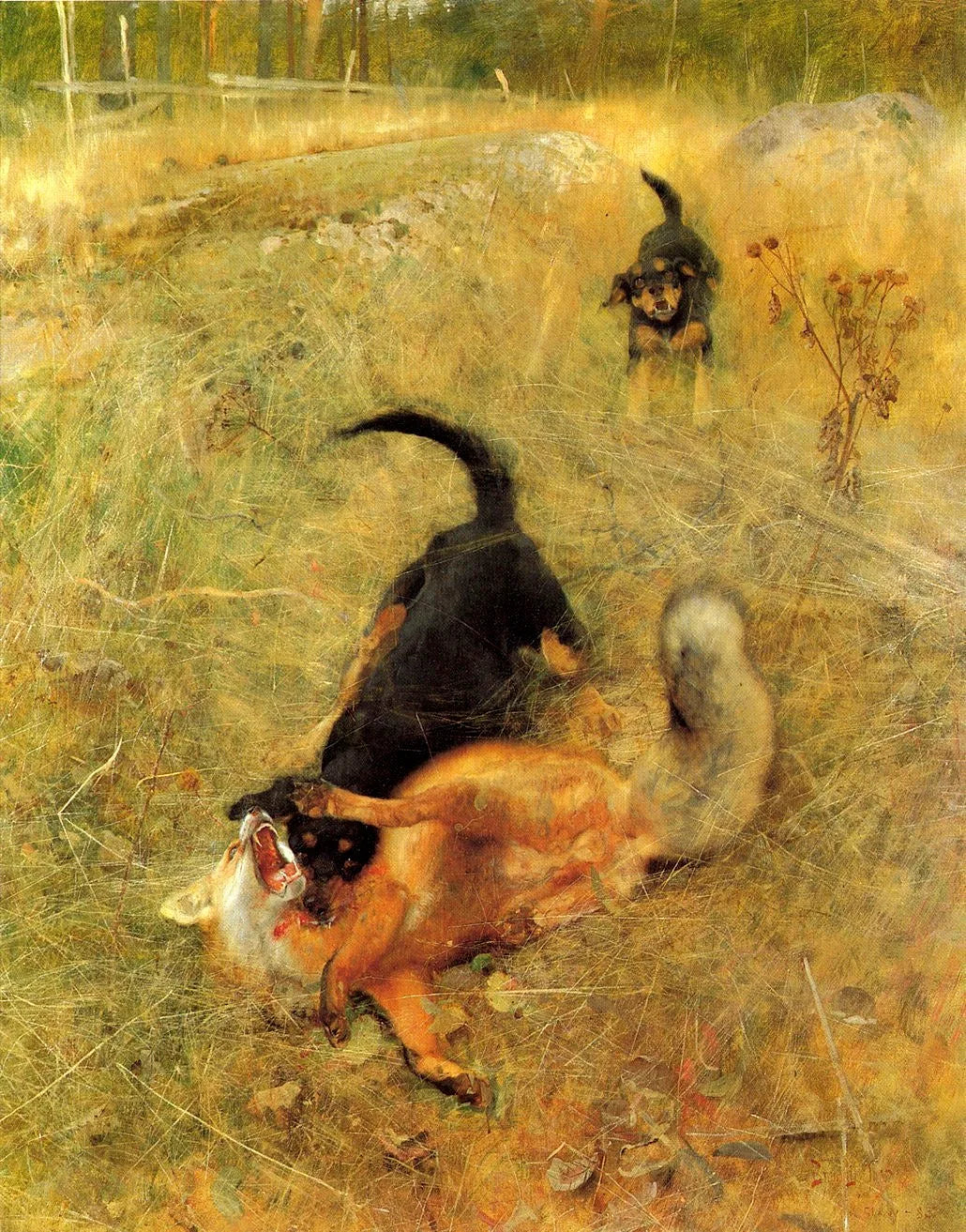 Foxhound suédois et renard - Bruno Liljefors image 1 reproduction artisanale de tableau