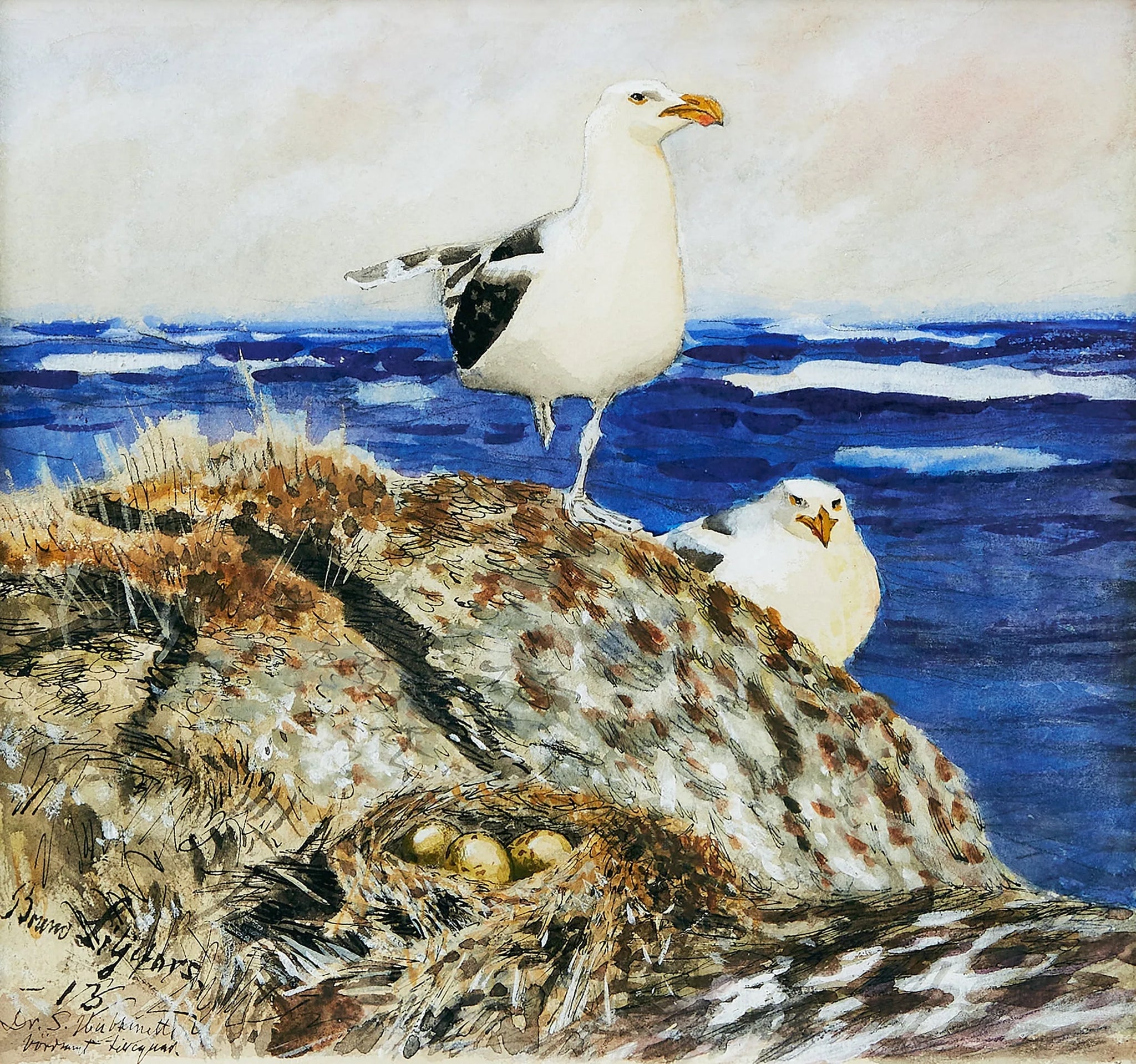Goélands marins - Bruno Liljefors image 1 reproduction de peinture à l’huile