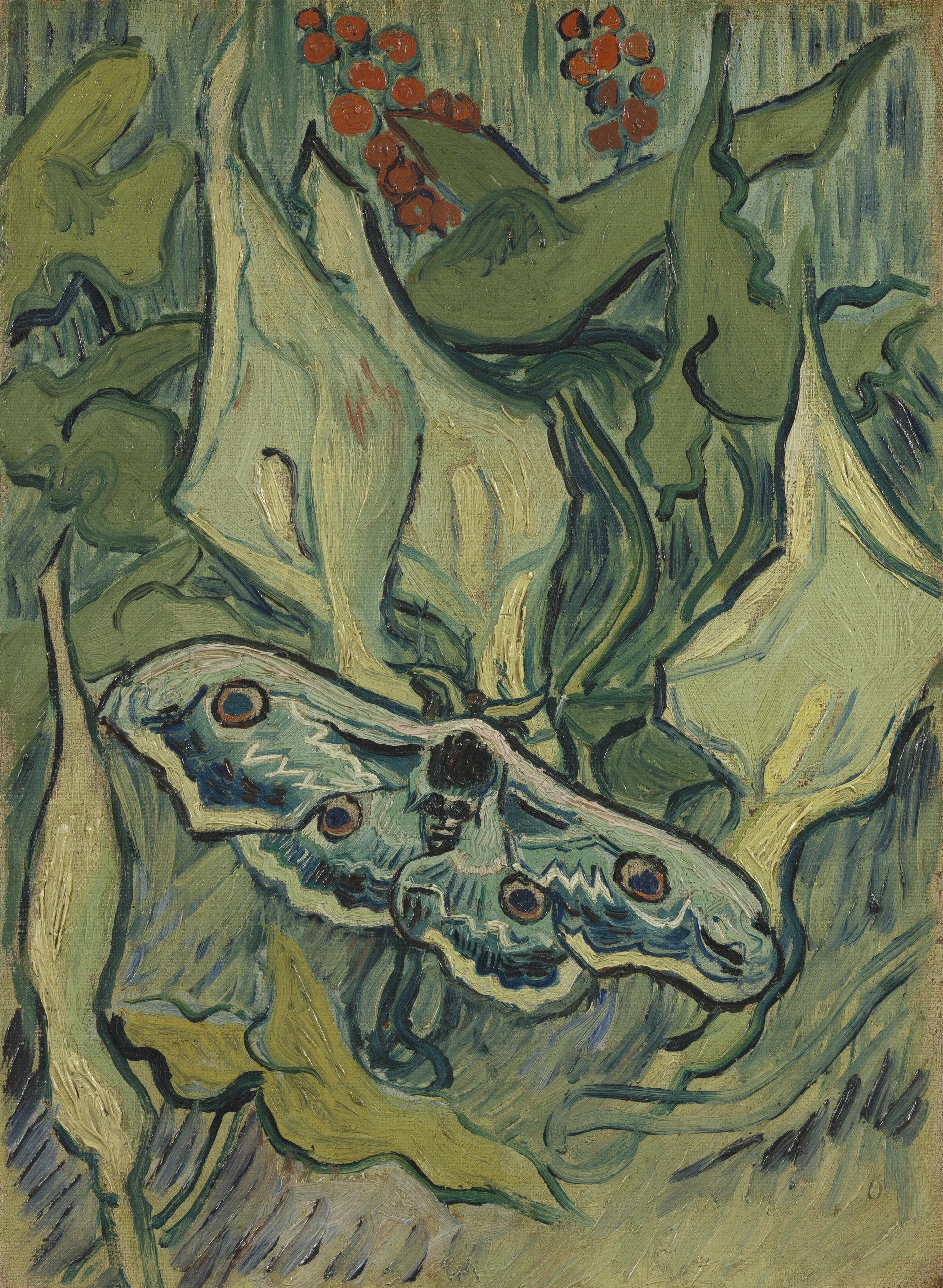 Grand Paon de nuit F610 de Vincent van Gogh, Van Gogh Museum