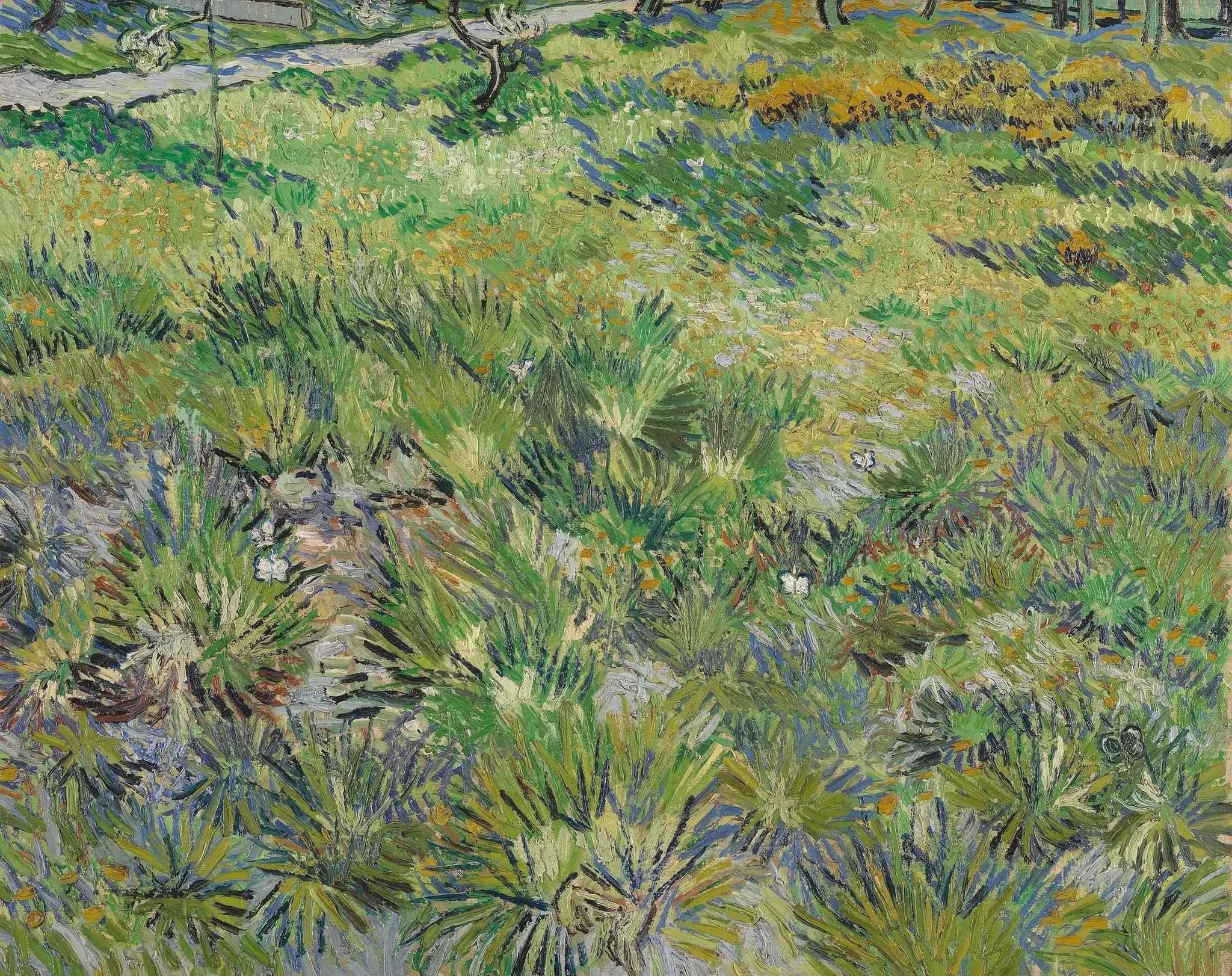Herbe longue avec des papillons - Vincent van Gogh image 1 copie peinte à la main à l’huile