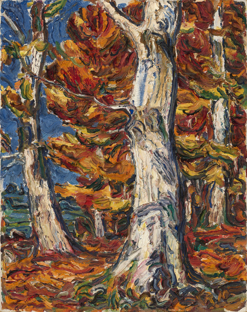Hêtres blancs en automne - Christian Rohlfs