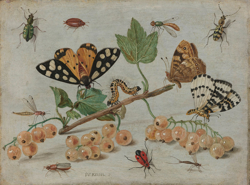 Insectes et fruits - Jan van Kessel