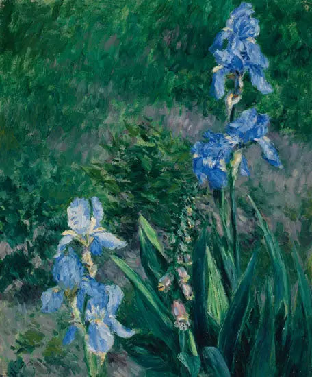 ดอกไอริสสีน้ำเงิน, สวนของ Petit Gennevilliers - Gustave Caillebotte