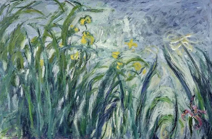 อิริสสีเหลืองและม่วง - Claude Monet