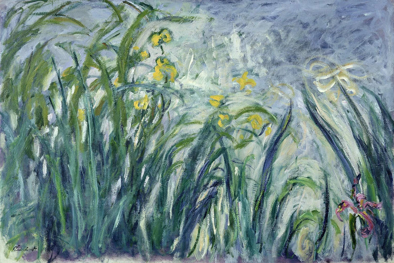 อิริสสีเหลืองและม่วง - Claude Monet