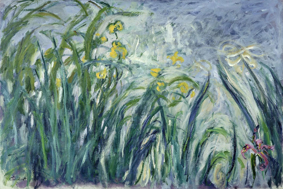 อิริสสีเหลืองและม่วง - Claude Monet
