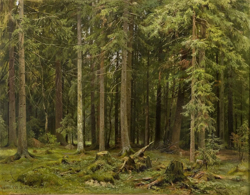 Лес в Мордвинове - Ivan Chichkine image 1 reproduction artisanale de tableau