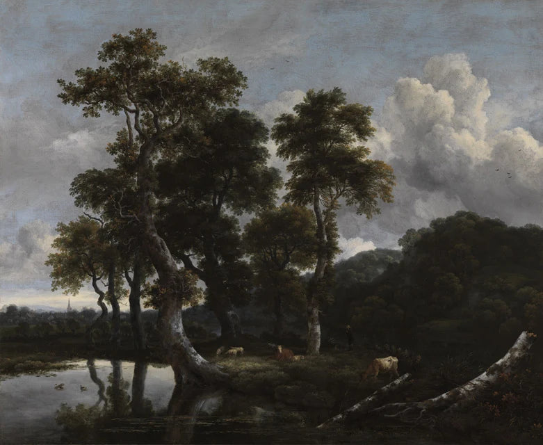 Grand groupe d’arbres au bord de l’eau - Jacob van Ruisdael