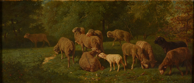Paysage avec moutons et vaches - Charles Jacque