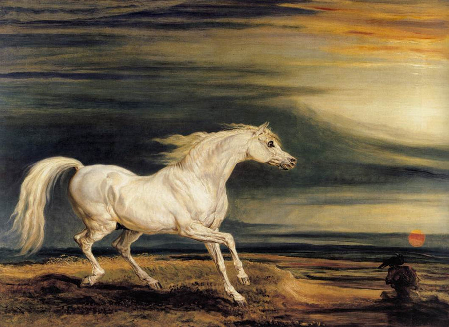 Marengo - James Ward