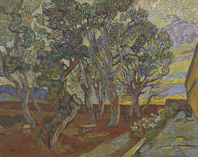 สวนของสถานสงเคราะห์ - Vincent van Gogh