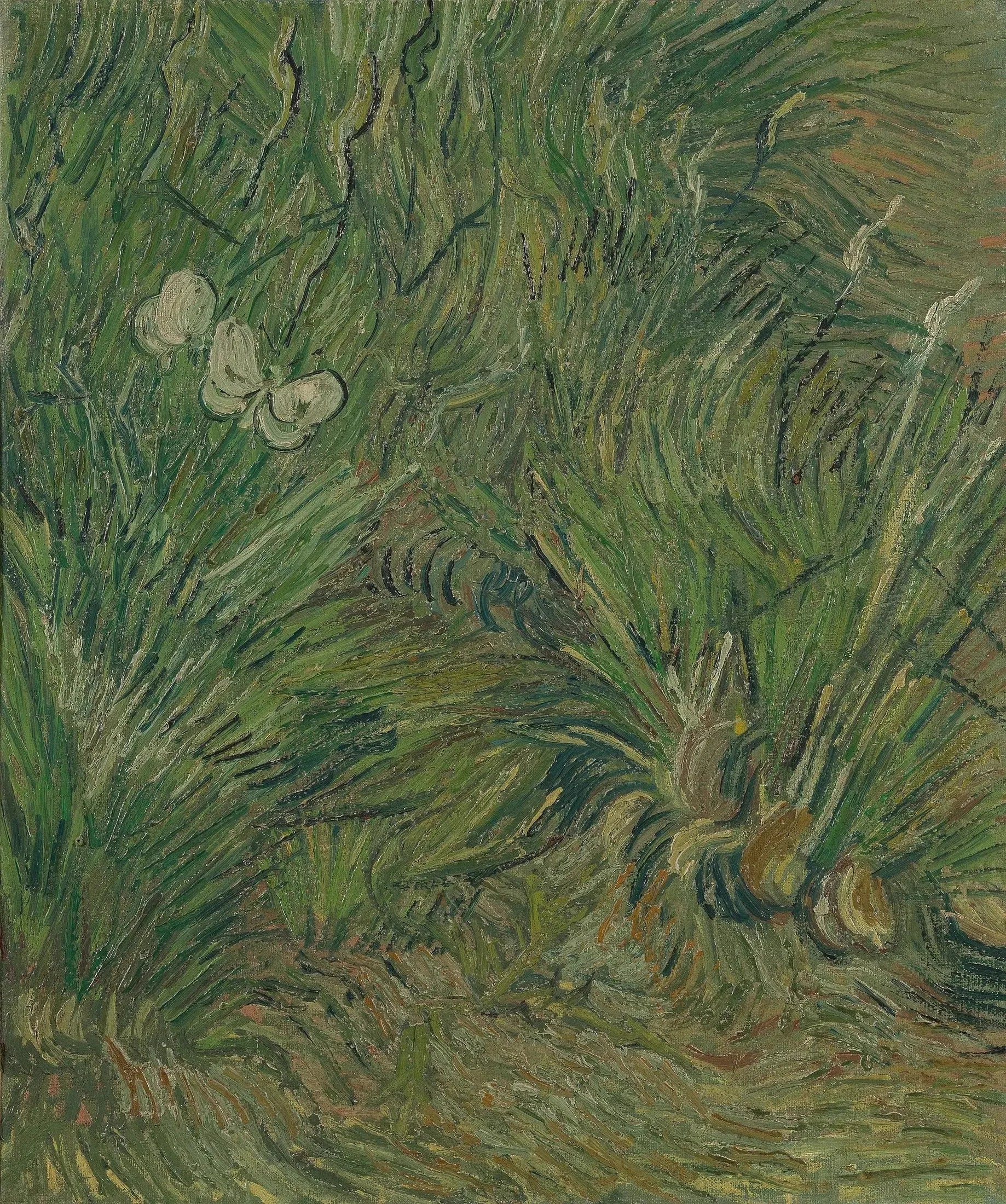 Jardin aux papillons - Vincent van Gogh image 1 reproduction artisanale de tableau