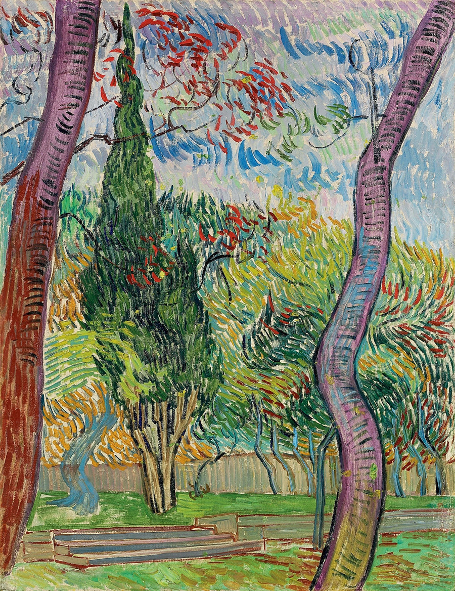 สวนโรงพยาบาลแซงต์-ปอล - Vincent van Gogh