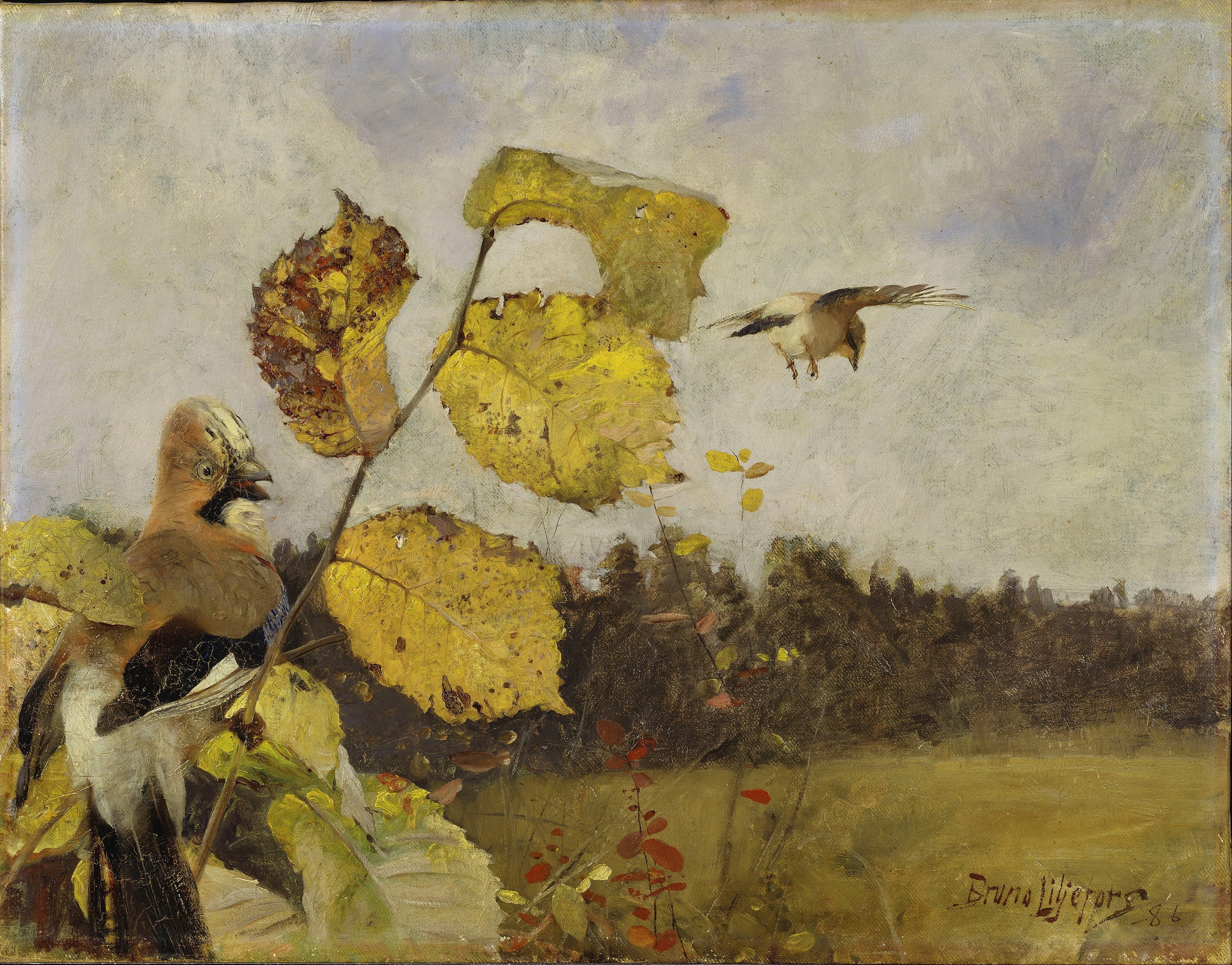 Jays - Bruno Liljefors image 1 copie de tableau peinte à la main