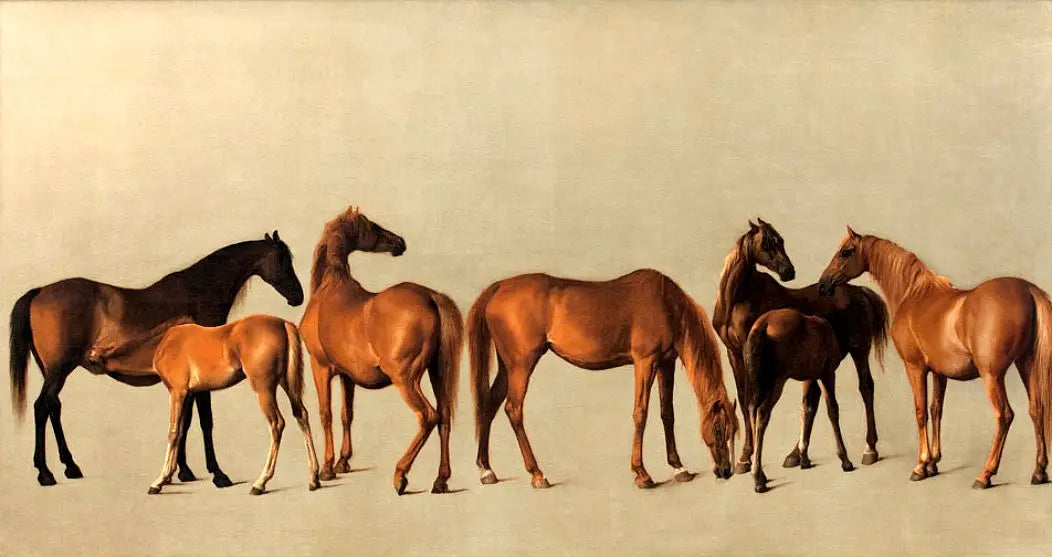 Juments et poulains sans antécédents - George Stubbs - Alpha Reproduction