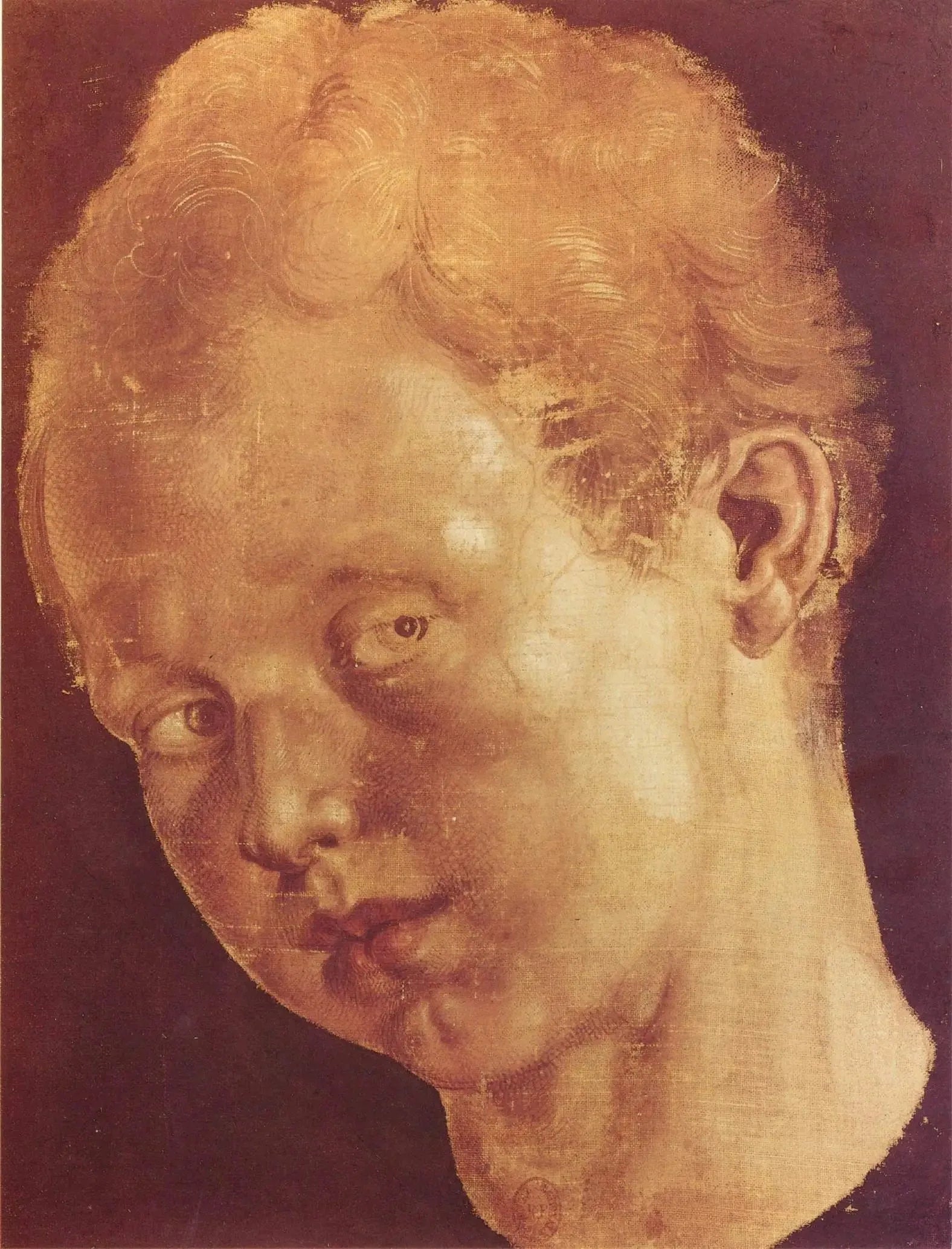 Knabenkopf nach links geneigt - Albrecht Dürer image 1 reproduction artisanale de tableau
