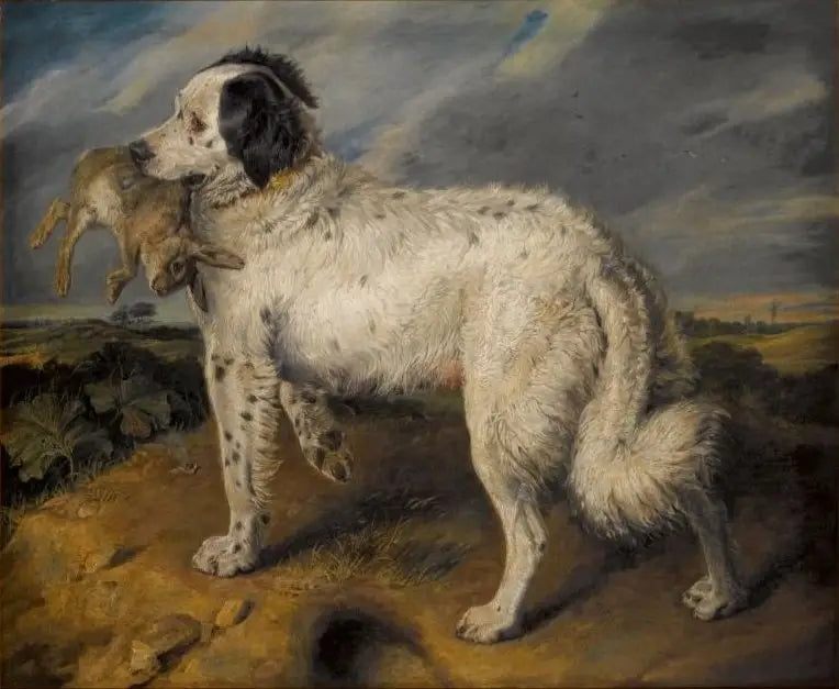La Championne : Vénus - Edwin Henry Landseer image 1 tableau peint à l’huile sur toile