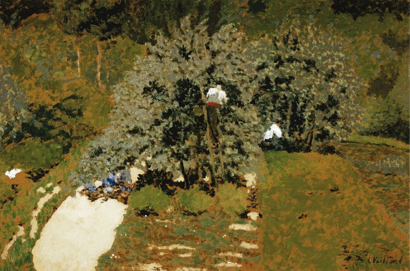 การเก็บเกี่ยว - Édouard Vuillard