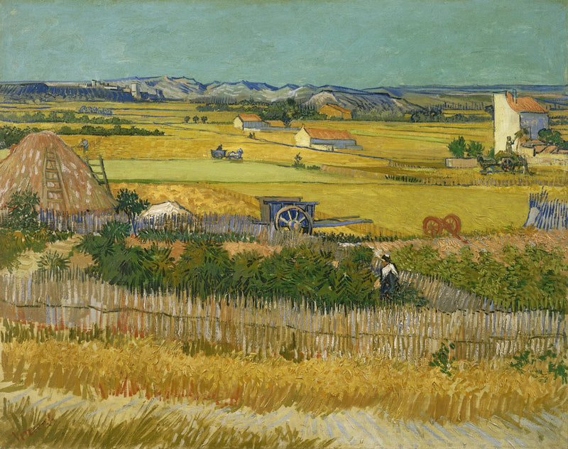การเก็บเกี่ยว - Vincent van Gogh