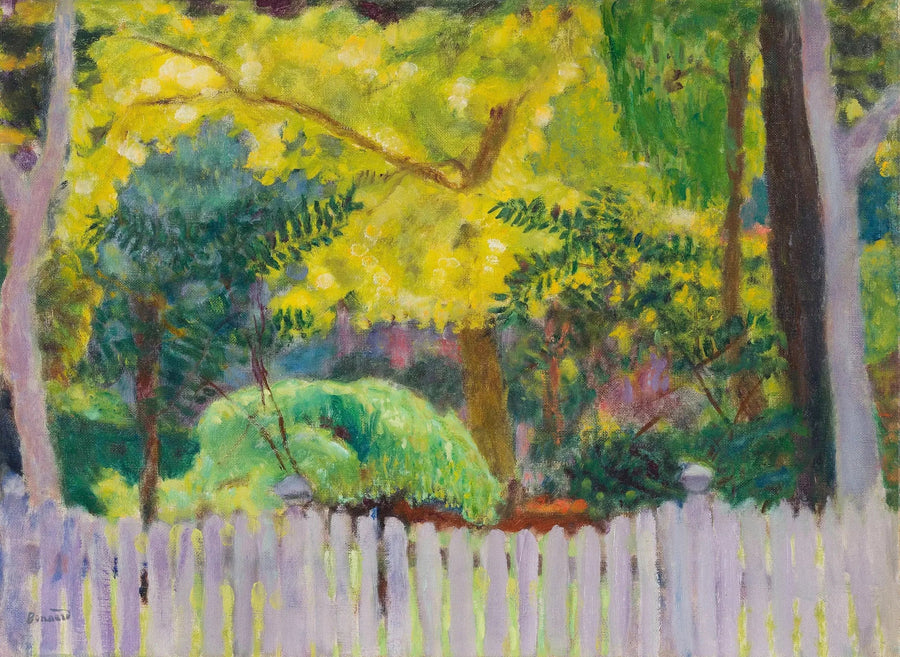 รั้วสีม่วง - ปิแอร์ โบแนร์