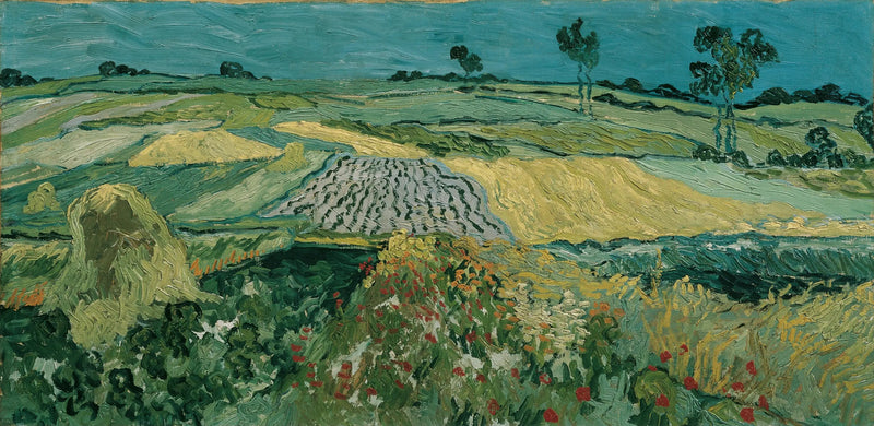 ทุ่งราบออแวร์ - Vincent van Gogh