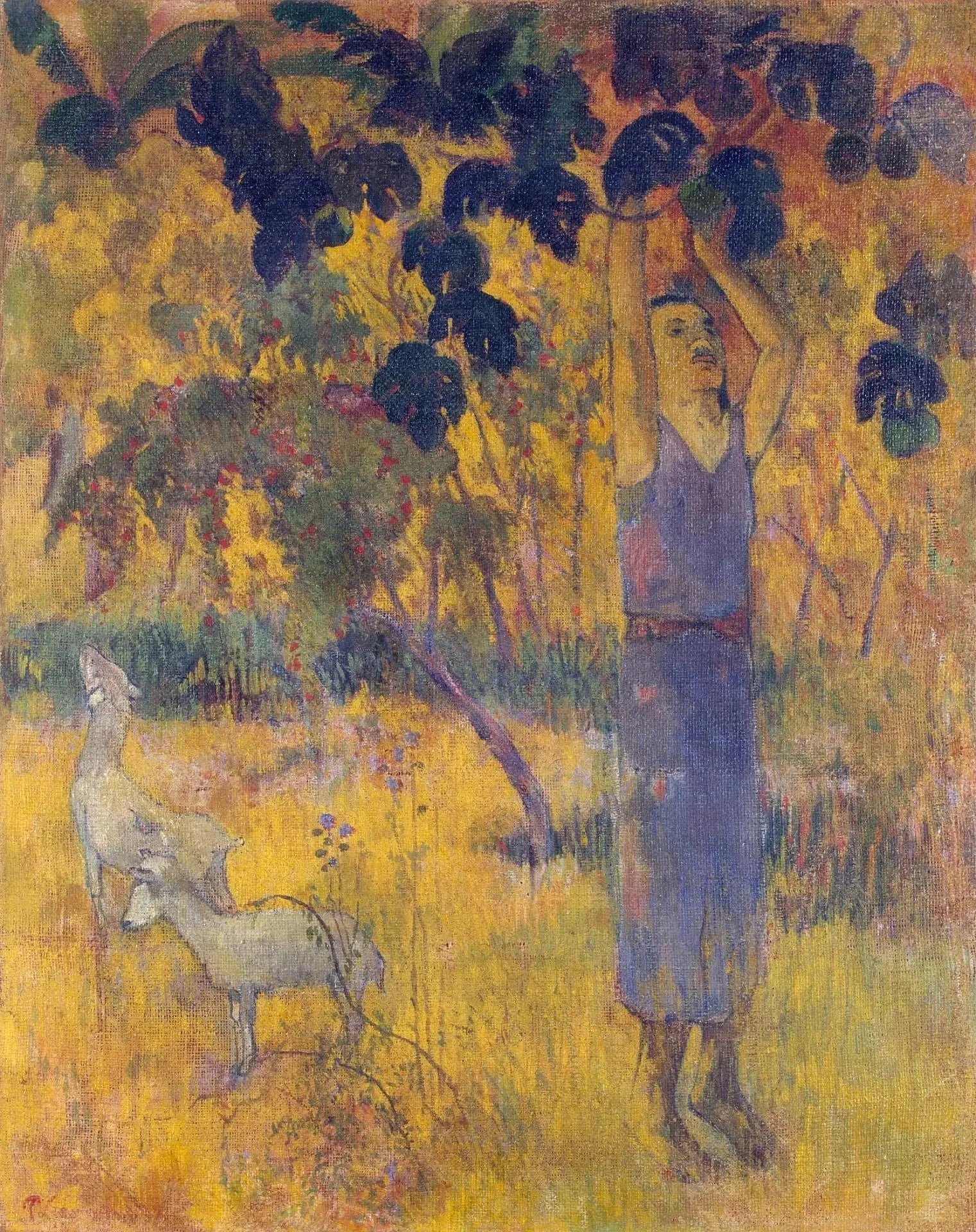 La récolte, ou Homme cueillant des fruits - Paul Gauguin image 1 copie de tableau peinte à la main