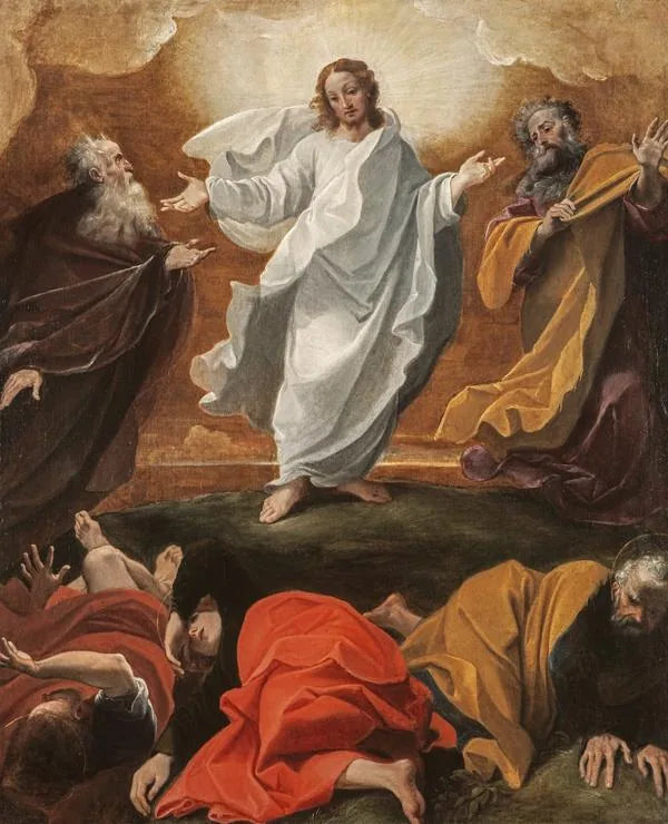 การเปลี่ยนรูป - Ludovico Carracci