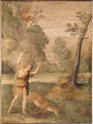 การเปลี่ยนแปลงของ Cyparissus - Domenichino