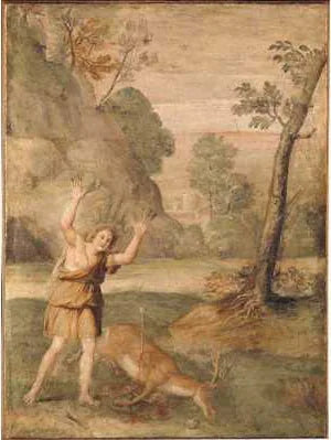 การเปลี่ยนแปลงของ Cyparissus - Domenichino