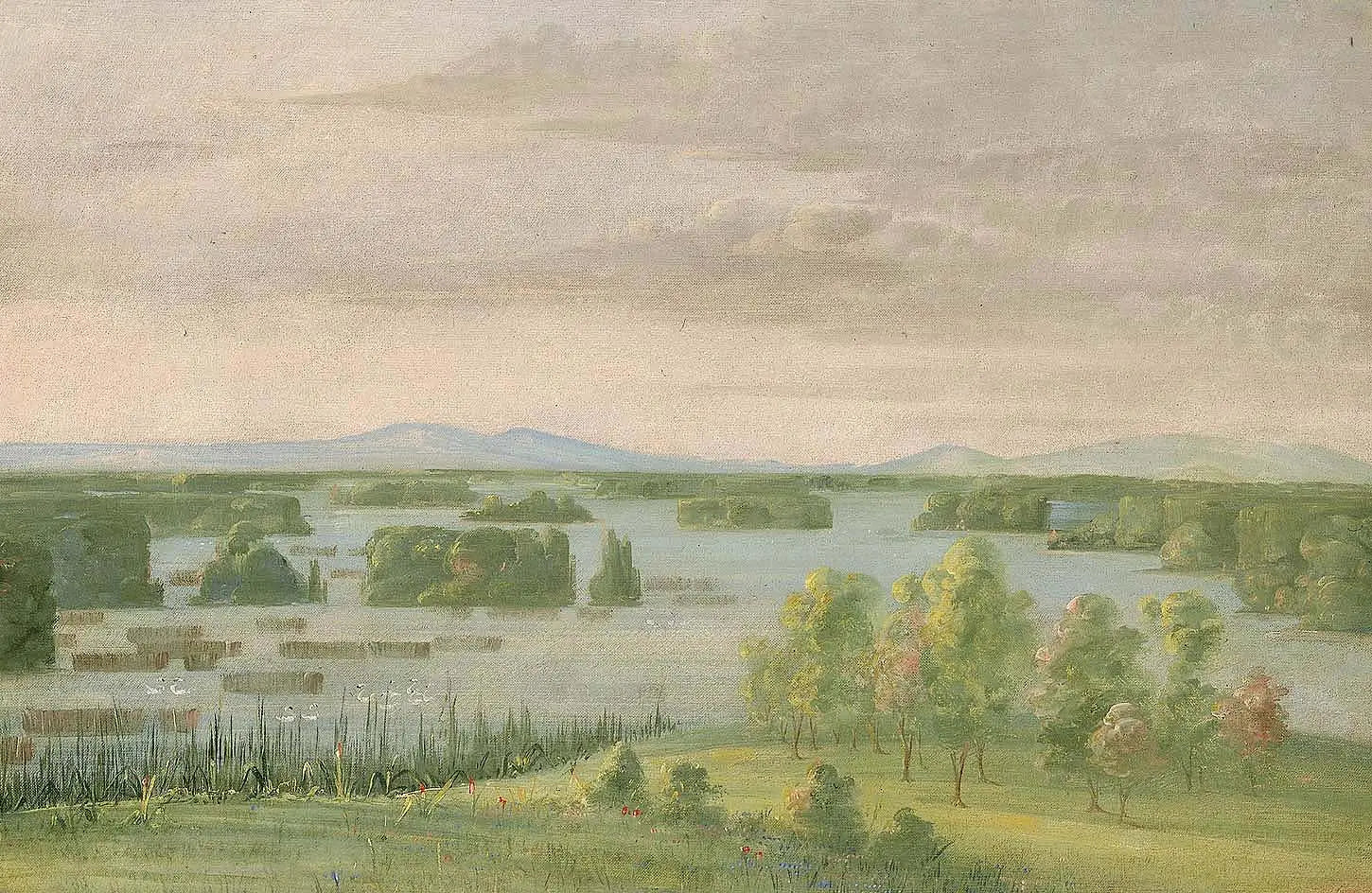 Lac du Cygne (Lac des Cygnes), Près du Coteau des Prairies - George Catlin image 1 copie de tableau peinte à la main