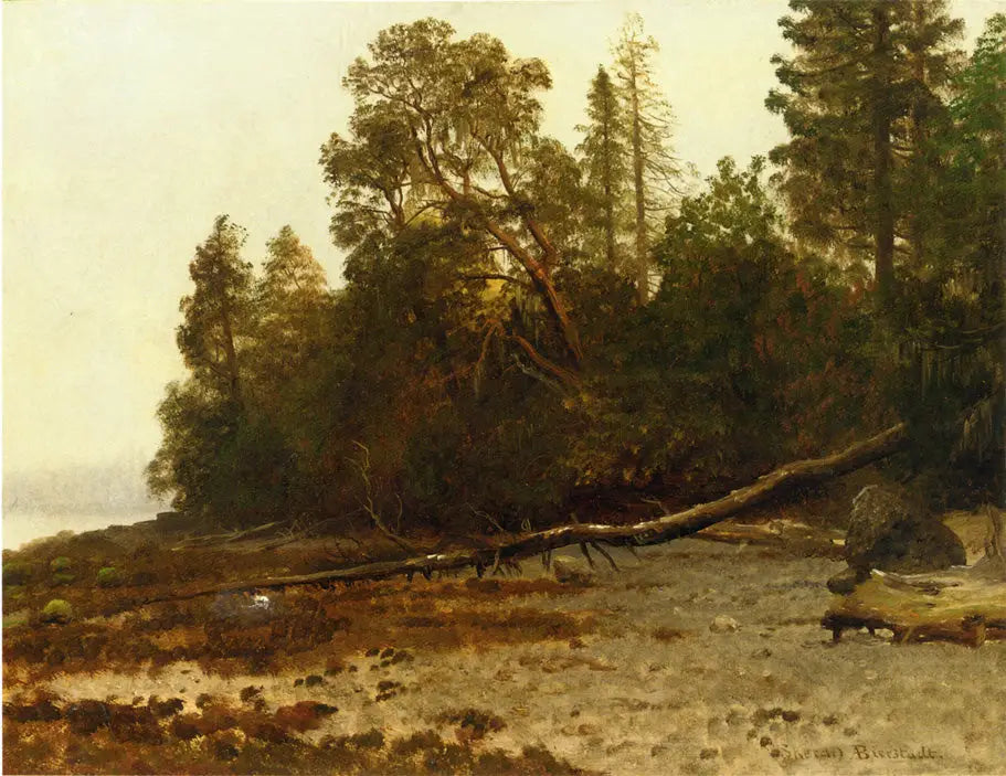 L’arbre tombé - Albert Bierstadt - Alpha Reproduction