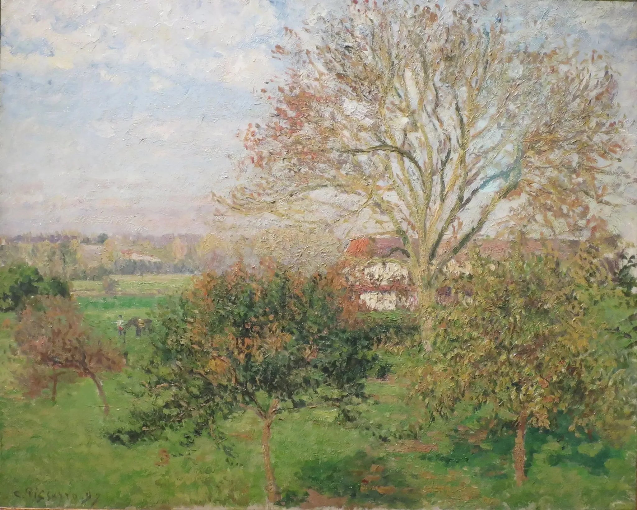 Le Grand Noyer, matin d'automne, Éragny ( Matin d'automne à Eragny) - Camille Pissarro image 1 reproduction réalisée par Alpha Reproduction