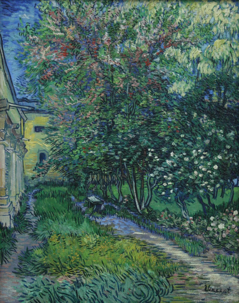 สวนของสถานเลี้ยงคนชราเซนต์-เรมี - Vincent van Gogh