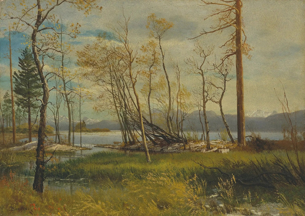 Le lac Tahoe - Albert Bierstadt image 1 copie de tableau peinte à la main