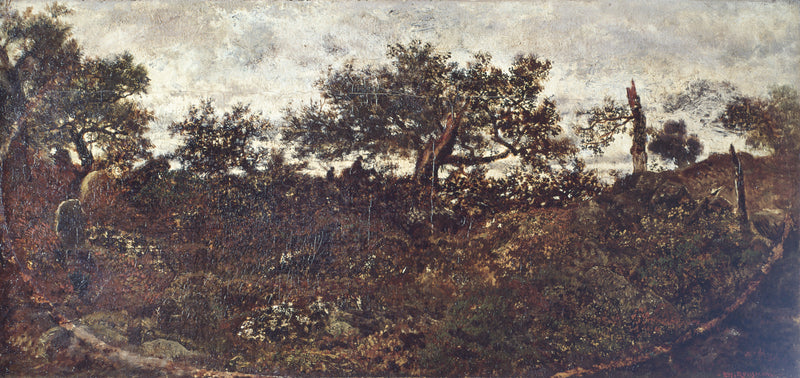 Le Plateau de Bellecroix - Théodore Rousseau