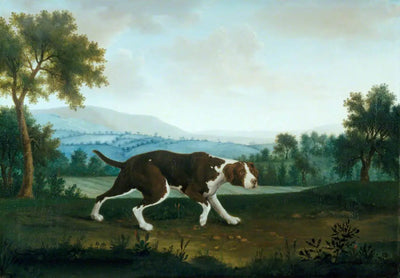 Le pointeur espagnol - George Stubbs - Alpha Reproduction