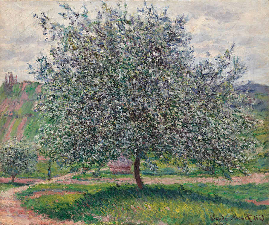 ชื่อเรื่องแปลไม่พร้อมใช้งาน - Claude Monet