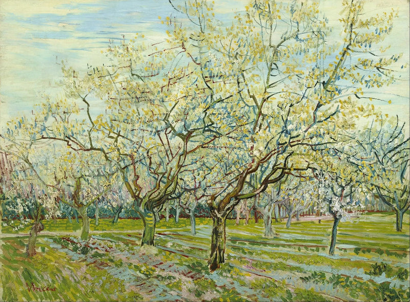 สวนผลไม้สีขาว - Vincent van Gogh