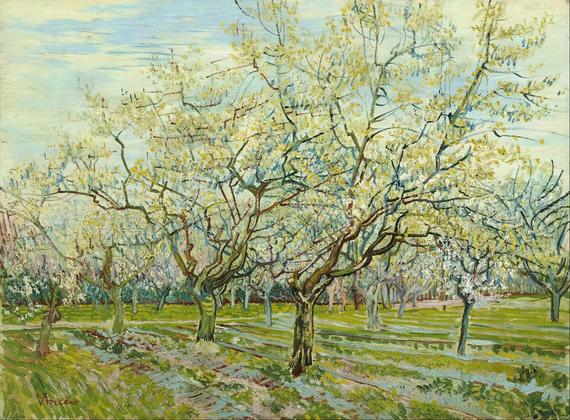 สวนผลไม้สีขาว - Vincent van Gogh