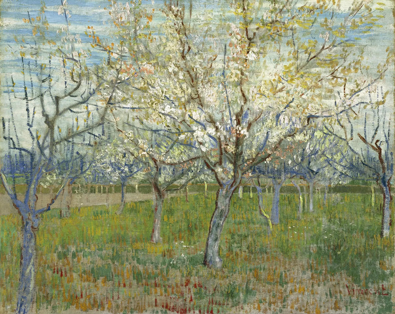 สวนผลไม้สีชมพู - Vincent van Gogh