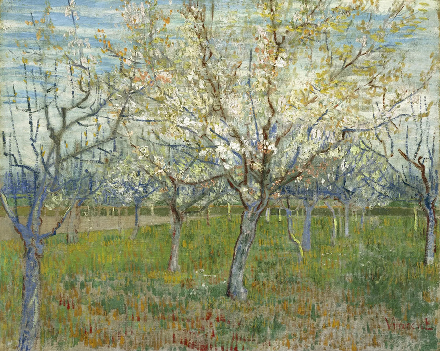 สวนผลไม้สีชมพู - Vincent van Gogh