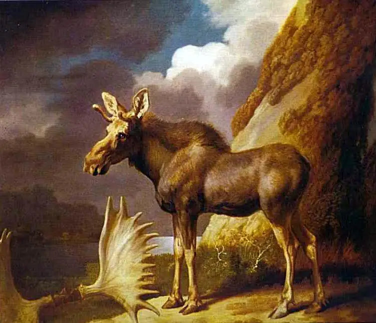 L’élan - George Stubbs - Alpha Reproduction