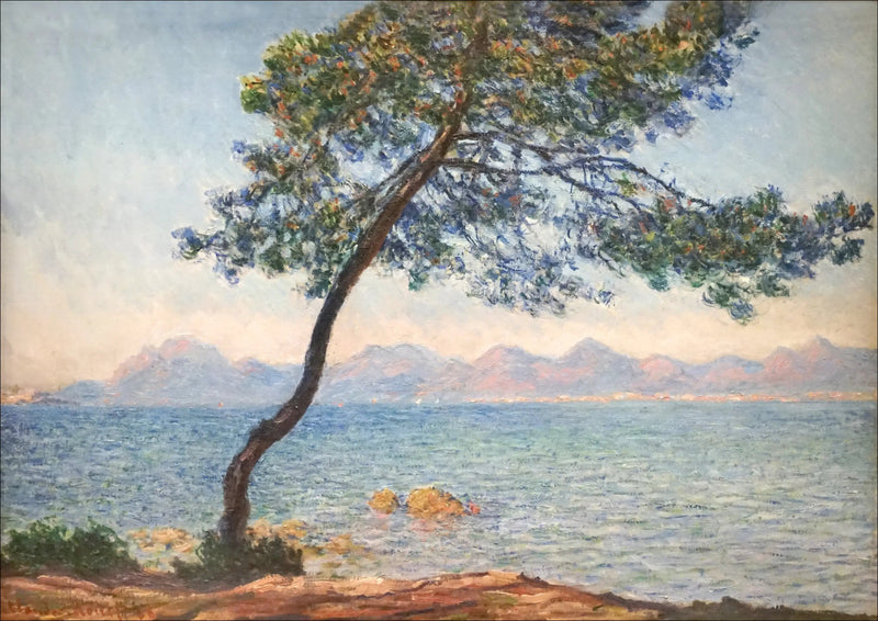 สารต้านแบคทีเรีย - Claude Monet