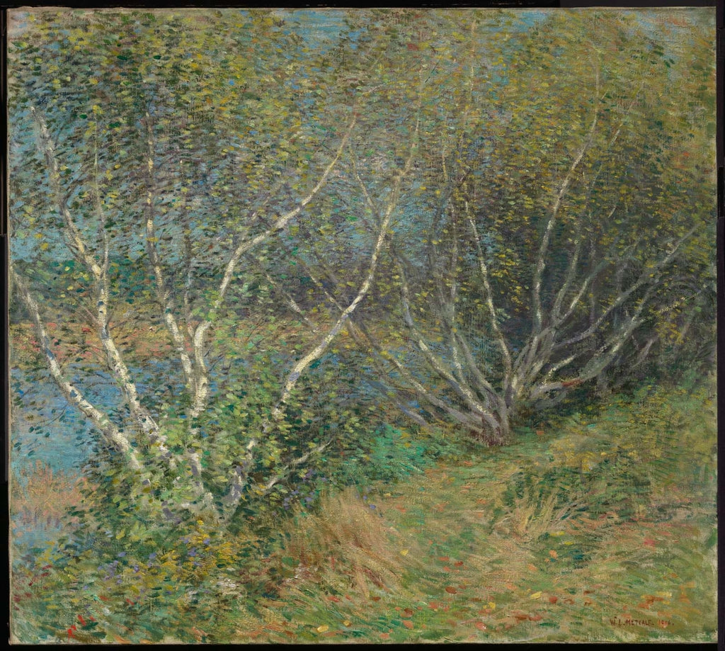 Les bouleaux - Willard Metcalf image 1 copie peinte à la main à l’huile